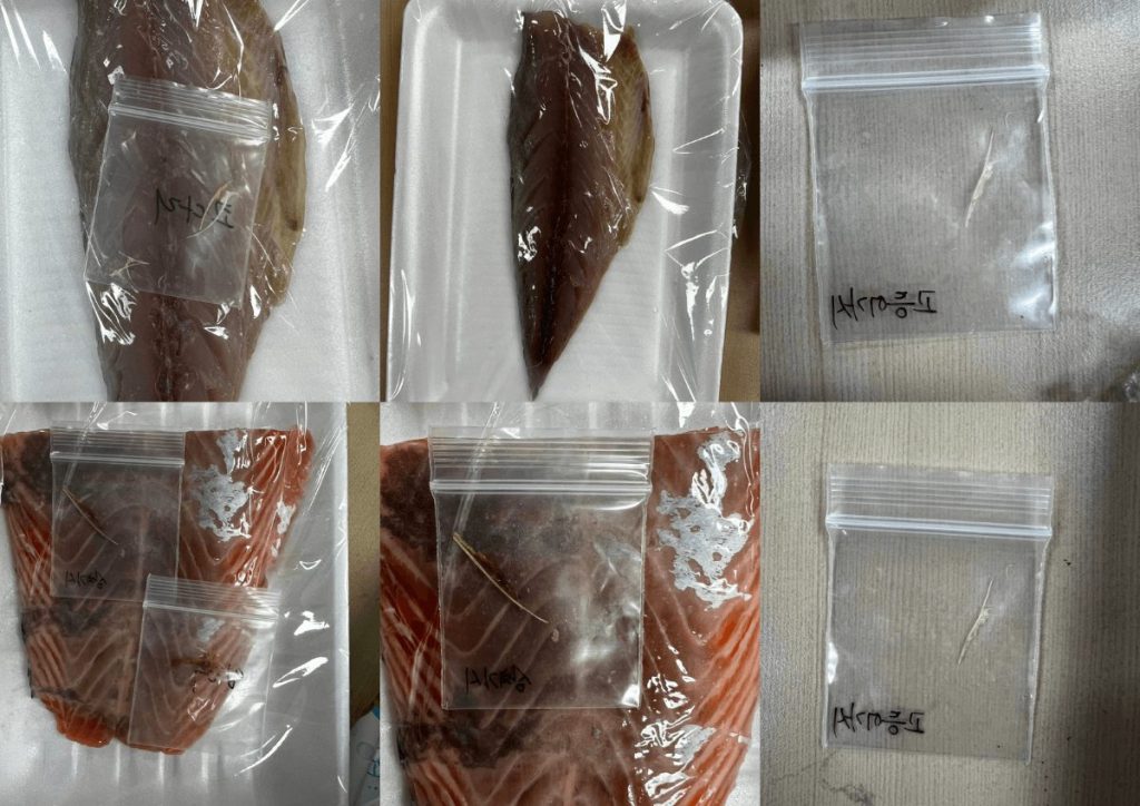 隆典科技- Nongshim 大/中包裝產品檢測 專用食品X光機 XIS-3500 Dual - 魚刺檢測畫面