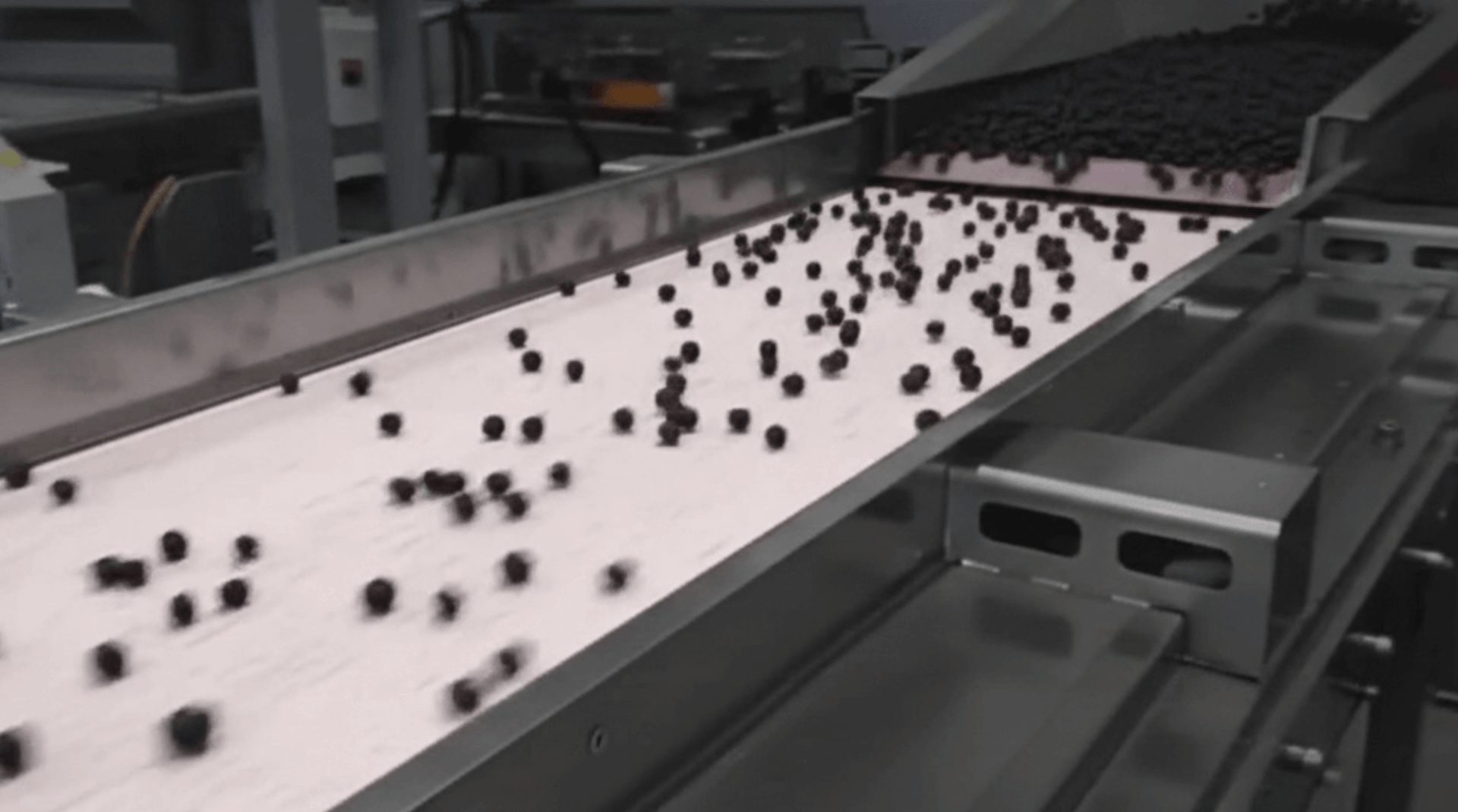 background sample 8 (1)